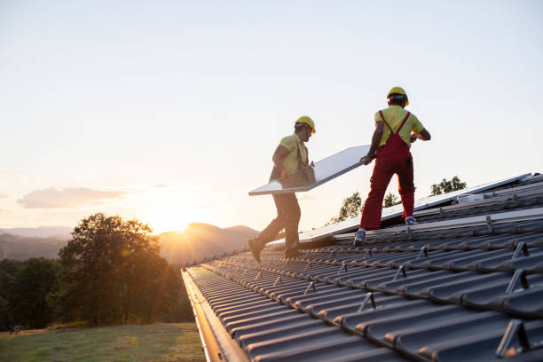 Best Skylight Installation and Repair  in Tilden, NE