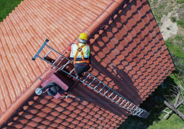 Best Roof Leak Repair  in Tilden, NE