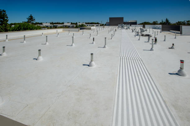 Best Roof Moss and Algae Removal  in Tilden, NE